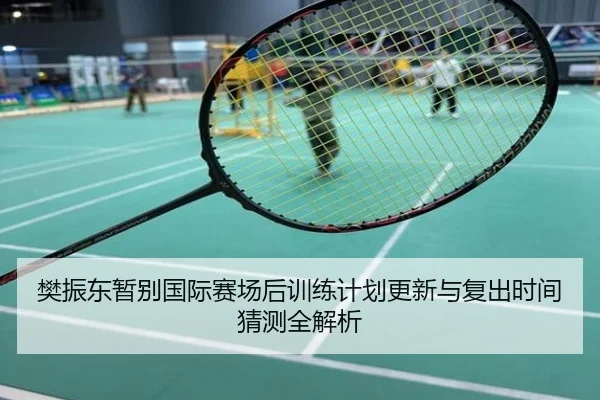 樊振东暂别国际赛场后训练计划更新与复出时间猜测全解析