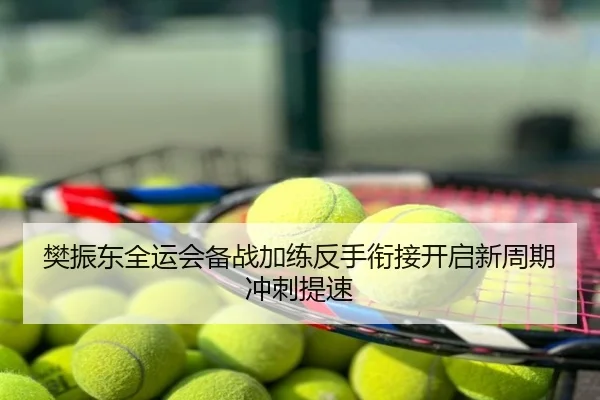 樊振东全运会备战加练反手衔接开启新周期冲刺提速