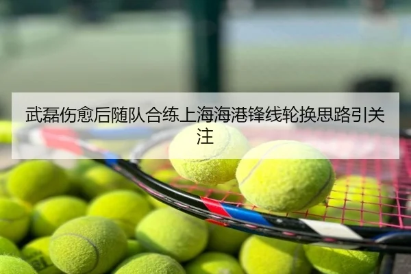 武磊伤愈后随队合练上海海港锋线轮换思路引关注